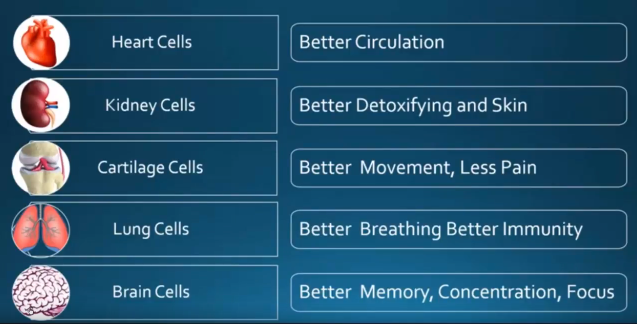Types of cell 01